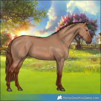 Horse Color:Red Dun 