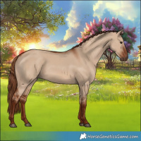 Horse Color:Red Dun 