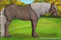 Horse Color:Silver Black 