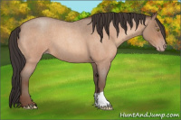 Horse Color:Sable Champagne Roan 
