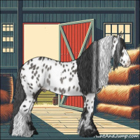 Horse Color:Black Appaloosa  and Grullo Appaloosa Rabicano 