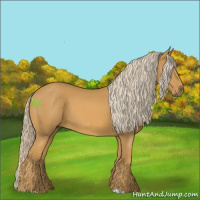 Horse Color:Palomino