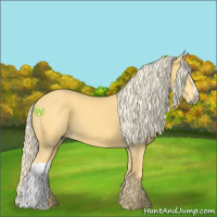 Horse Color:Palomino