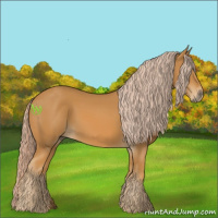 Horse Color:Palomino 