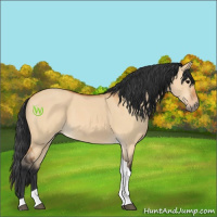 Horse Color:Bay Dun Tobiano 