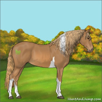 Horse Color:Chestnut Tobiano 