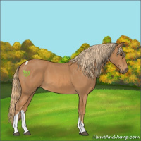 Horse Color:Red Roan Tobiano 