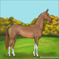 Horse Color:Chestnut Tobiano 