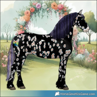 Horse Color:Painted Brown Ice Sabino Appaloosa 