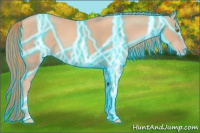 Horse Color:Thunderstruck Gold Champagne 