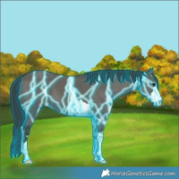 Horse Color:Thunderstruck Grullo 