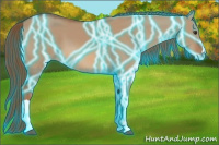 Horse Color:Thunderstruck Red Dun 