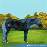 Horse Color:ERROR: UNKNOWN ANOMALY