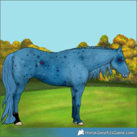 Horse Color:ERROR: UNKNOWN ANOMALY