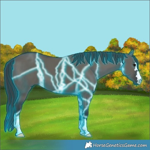 Horse Color:Thunderstruck Grullo 