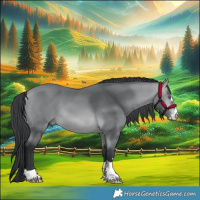 Horse Color:Bay Chinchilla