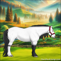 Horse Color:Bay Chinchilla 