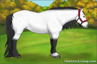 Horse Color:Brown Chinchilla