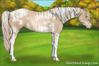 Horse Color:Chocolate Palomino Pearl Tobiano Frame  and Chocolate Palomino Pearl Tobiano Frame 
