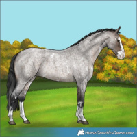 Horse Color:White Spotted Brown Roan Dun Splash 