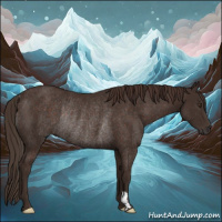 Horse Color:Liver Chestnut Rabicano