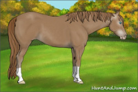 Horse Color:Gray Smoky Creme