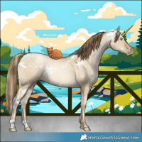 Horse Color:White Spotted Buckskin Pearl Dun 