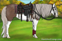 Horse Color:Silver Black Splash 