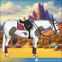 Horse Color:Silver Black Splash Tobiano 