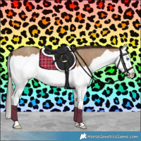 Horse Color:Classic Champagne Splash 