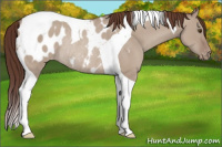 Horse Color:Classic Champagne Dun Tobiano Blanket Rabicano