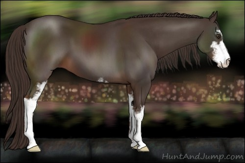 Horse Color:Liver Chestnut Sabino