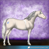 Horse Color:Cremello Tobiano 