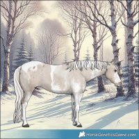 Horse Color:White Spotted Silver Grullo Tobiano Varnish 