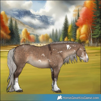 Horse Color:White Spotted Silver Brown Dun 