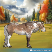 Horse Color:White Spotted Silver Brown Dun 