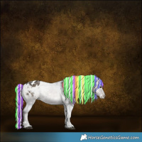 Horse Color:Painted White Spotted Silver Blue Onyx Ice Appaloosa 