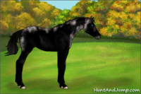 Horse Color:Void Platinum White Spotted Sable Champagne Splash Frame 