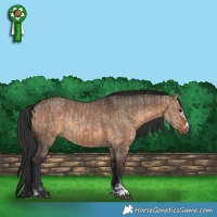 Horse Color:Brown Dun  and Brown Dun Rabicano 