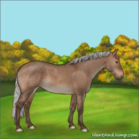 Horse Color:Silver Brown Dun 