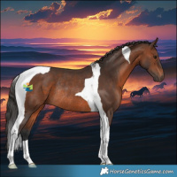 Horse Color:Brown Tobiano Rabicano 