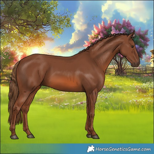 Horse Color:Chestnut 