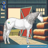 Horse Color:Silver Black Splash Appaloosa 