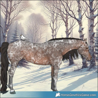 Horse Color:Brown Ice 