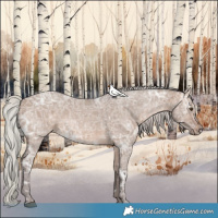 Horse Color:Silver Brown Ice Dun