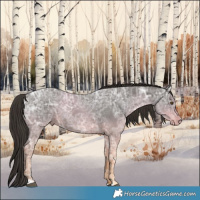 Horse Color:Liver Chestnut Ice 