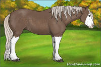 Horse Color:Silver Black Splash 