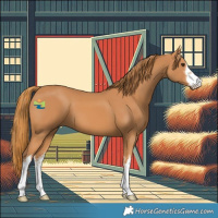 Horse Color:White Spotted Chestnut 
