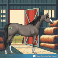Horse Color:Grullo 