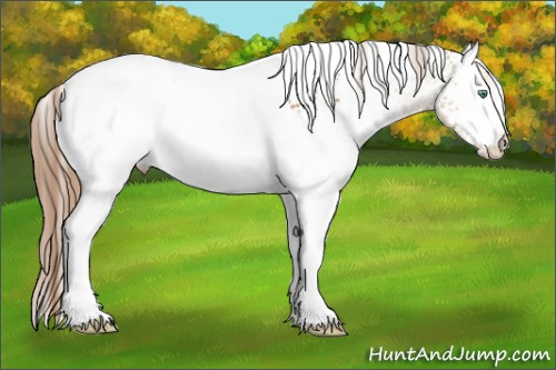Horse Color:White Spotted Smoky Black Pearl 